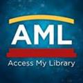 AMLicon_2